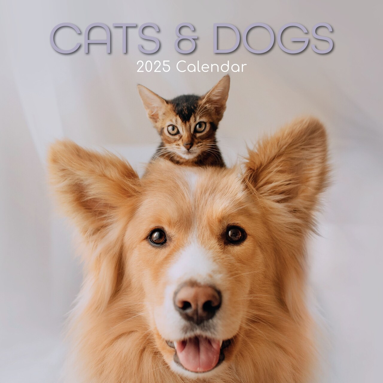 The Gifted Stationary 2025 Square Wall Calendar, Cats & Dogs, 16-Month Animals Theme Hanging Calendar with 180 Reminder Stickers, Month Planner for Home, or Creative Spaces, 12x12 In